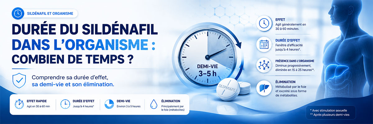 Combien de temps le sild&eacute;nafil reste-t-il dans l&rsquo;organisme?